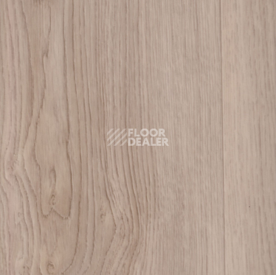 Линолеум IVC Vision Satin Oak T32 фото 1 | FLOORDEALER
